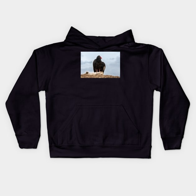 Turkey buzzard Kids Hoodie by gdb2